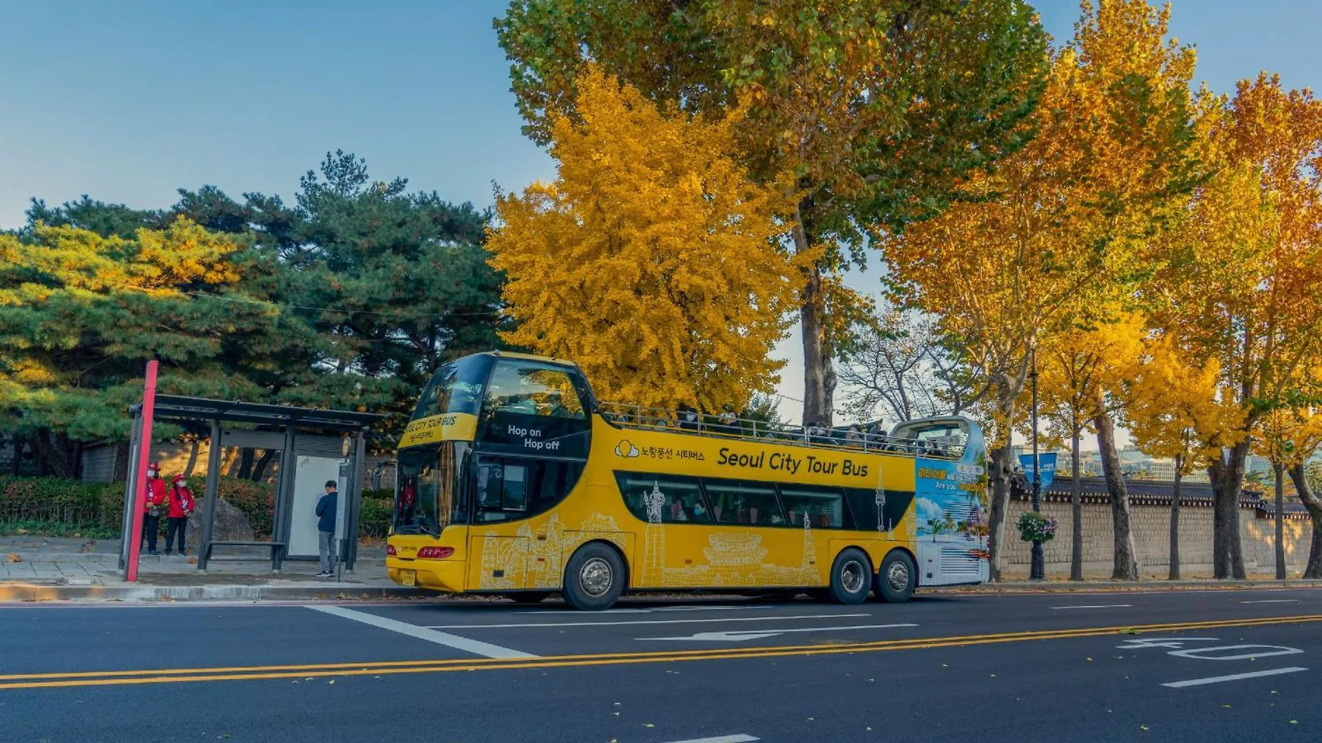 Hotel Shilla Stay Gwanghwamun Myeongdong Seoul